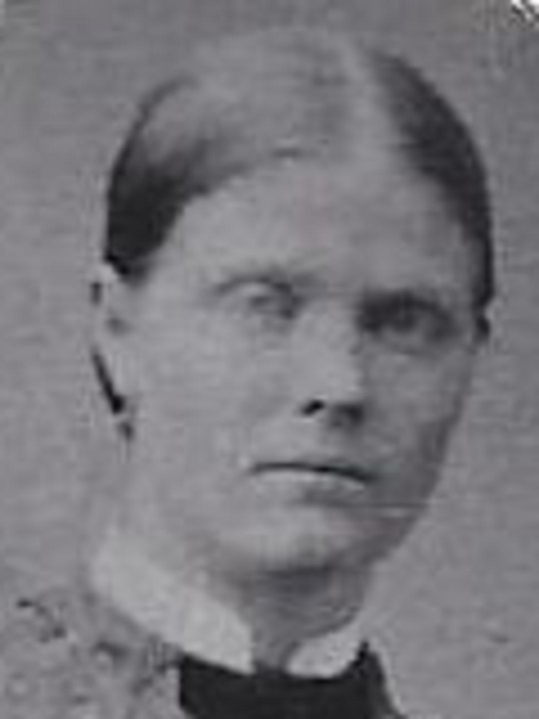 Lovina Ruth Nichols (1848 - 1929) Profile